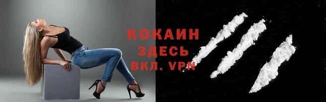 прущая мука Беломорск