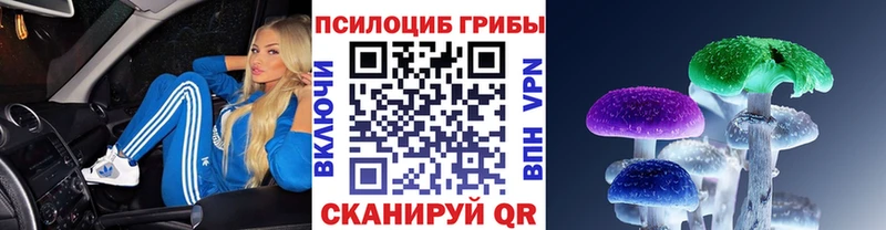 Псилоцибиновые грибы MAGIC MUSHROOMS наркошоп Майкоп