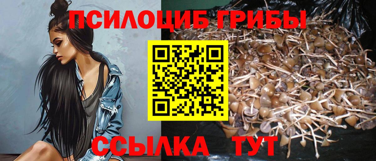 Галлюциногенные грибы мухоморы  Вход с VPN  Майкоп 